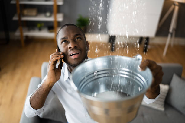 Best Water damage restoration near me  in Radium Springs, NM