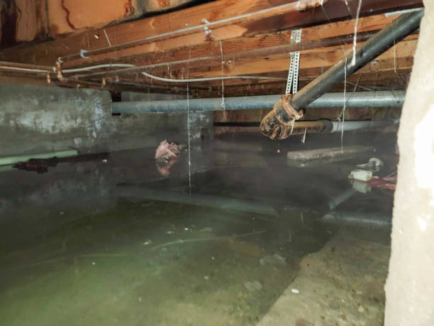 Best 24/7 water damage repair  in Radium Springs, NM