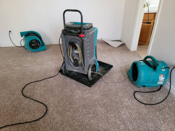 Best Emergency water damage restoration  in Radium Springs, NM