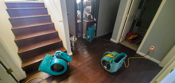 Best Carpet water damage restoration  in Radium Springs, NM