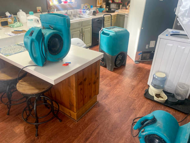 Best Ceiling water damage repair  in Radium Springs, NM