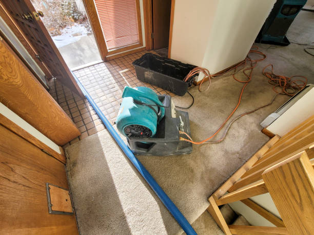 Best Water damage cleanup near me  in Radium Springs, NM