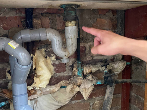 Best 24-hour water damage restoration  in Radium Springs, NM