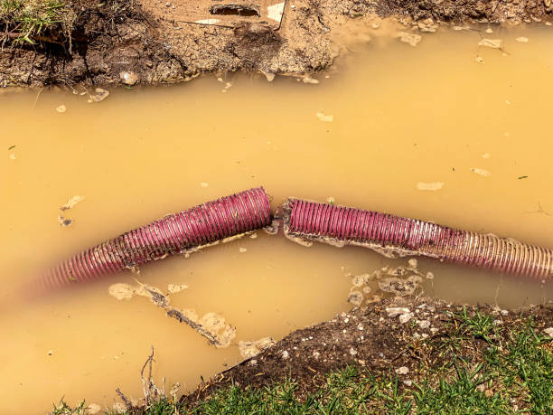 Best Commercial water damage restoration  in Radium Springs, NM