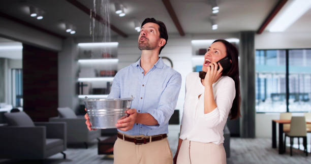 Best Flood damage cleanup  in Radium Springs, NM
