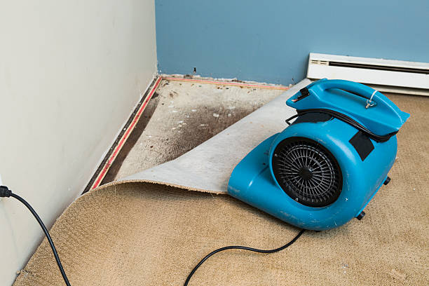  Radium Springs, NM Water damage restoration Pros